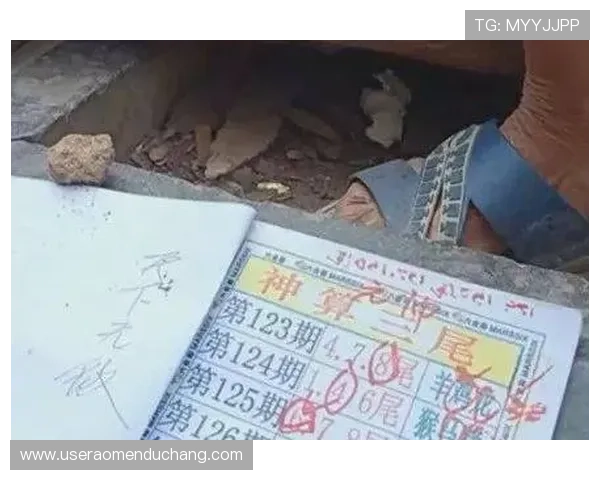 掌握六合彩手机官方地址最新动态，确保每次投注都能顺利进行安全无忧